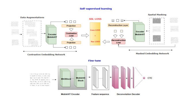 A diagram illustrating self-supervised learning and fine-tuning processes using MobileViT architecture.