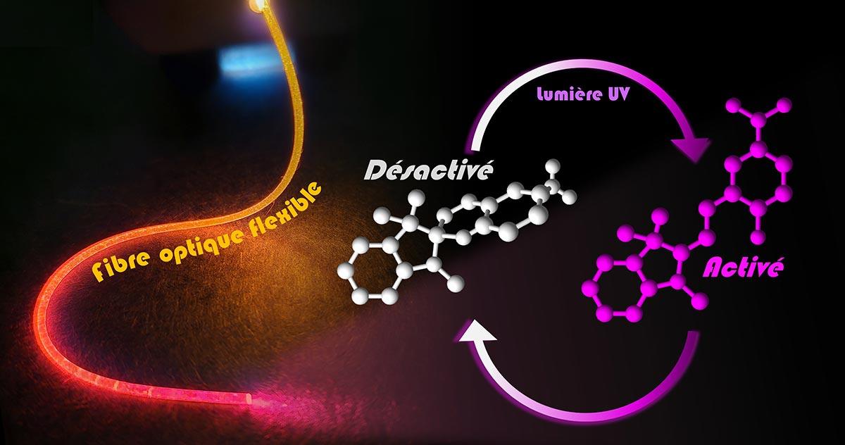 Découverte d'une fibre optique flexible activant des molécules sous lumière UV, illustrant l'innovation technologique en matière de photonique.