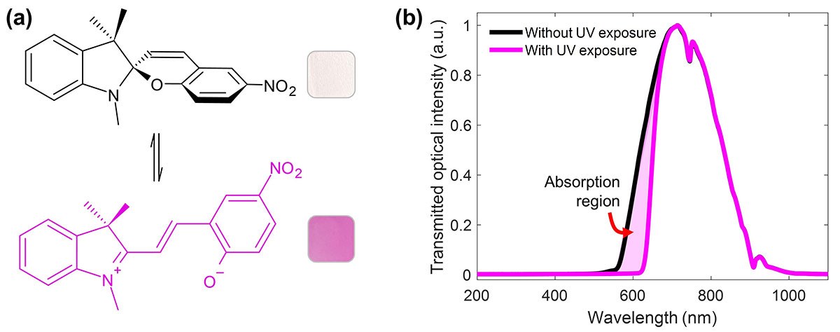Structural changes and optical intensity variations before and after UV exposure, highlighting absorption regions.