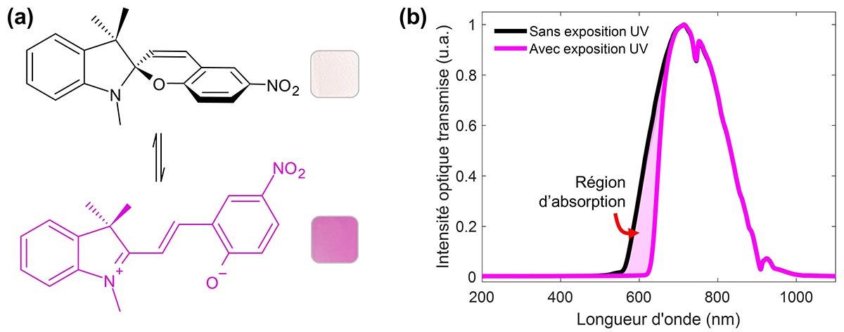 Représentation des structures chimiques et des spectres d'absorption avant et après exposition UV, illustrant les changements d'intensité optique.