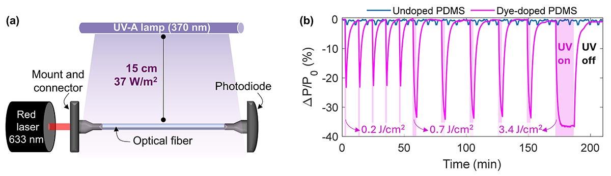 Experimental setup for photodiode measurements comparing undoped and dye-doped PDMS under UV light exposure.