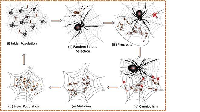 Algorithm based on the black widow spider - Morphing wing