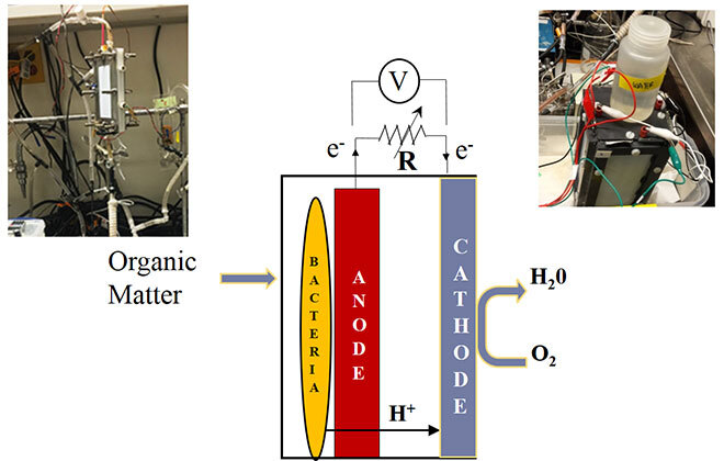 The functionning of a microbial fuel cell