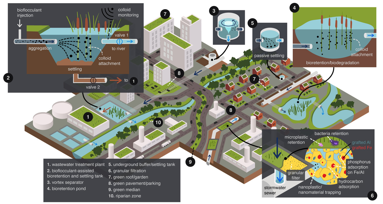 Système innovant de gestion des eaux usées intégrant biorestauration et technologies de filtration pour un environnement durable.