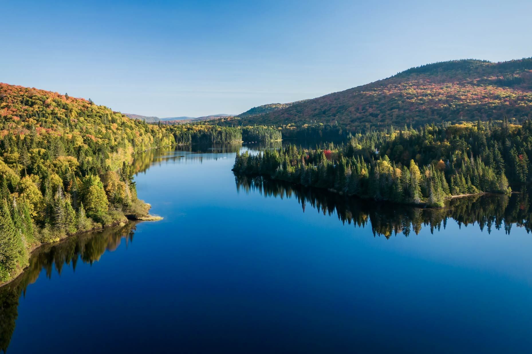 A serene landscape featuring calm water surrounded by vibrant autumn foliage and lush green forests under a clear blue sky.