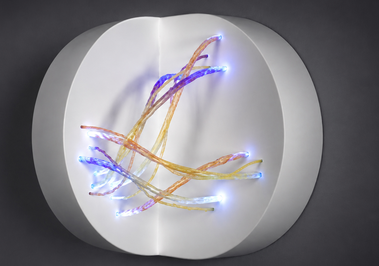 Une installation artistique moderne, mêlant lumières colorées et formes fluides, créant une atmosphère dynamique et captivante.