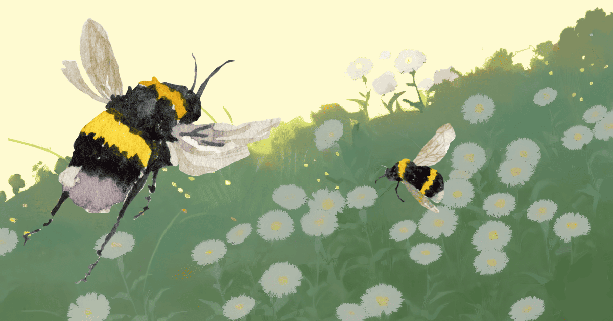Deux abeilles butinent des fleurs blanches dans un paysage verdoyant, symbolisant l'importance de la pollinisation.