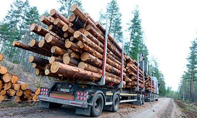 Camion de bûcheronnage chargé de rondins en forêt, symbolisant l'exploitation forestière et le transport du bois.