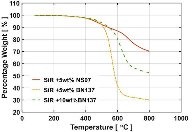 thermogravimetric analysis