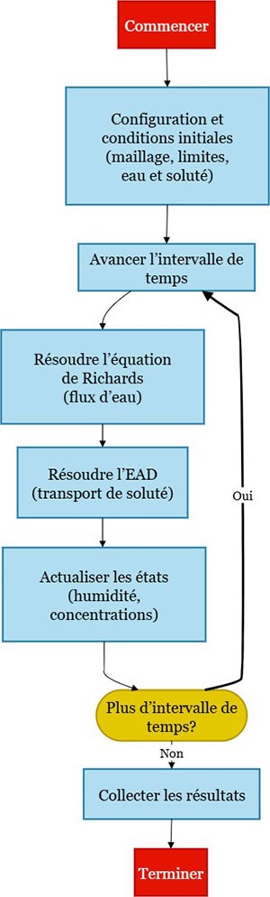 Flux de travail pour modéliser le transport de l'eau et des solutés, intégrant des équations et des étapes d'actualisation.