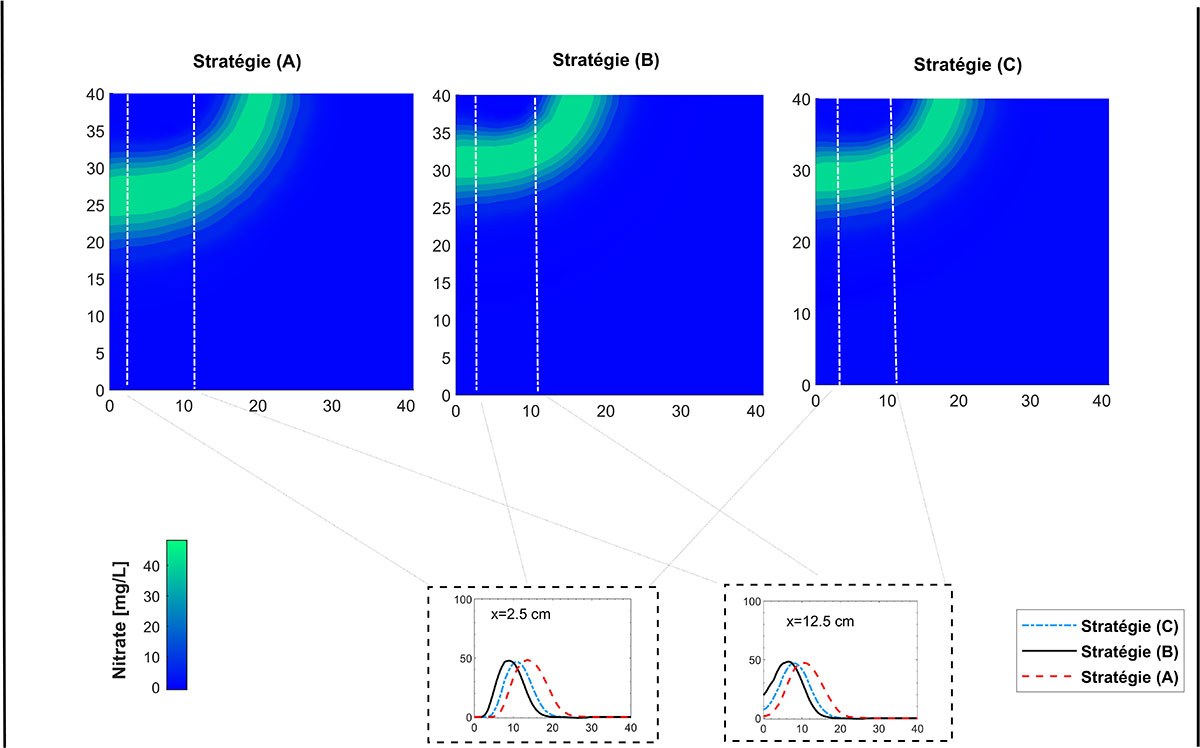 Analyse des stratégies d'azote à différentes profondeurs, illustrant la dynamique des nitrates en mg/L dans un espace considéré.