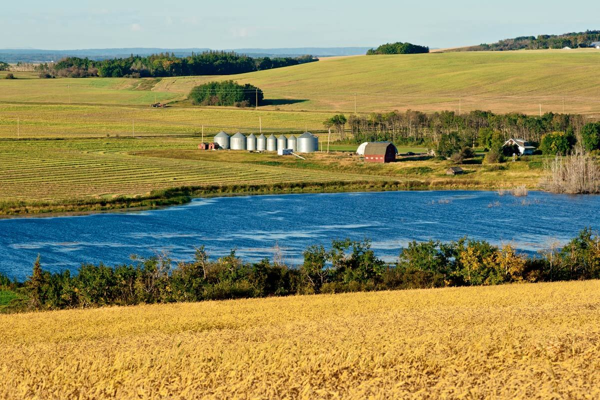 A peaceful rural landscape featuring lush fields, silos, a serene lake, and a charming barn, exemplifying agricultural life.