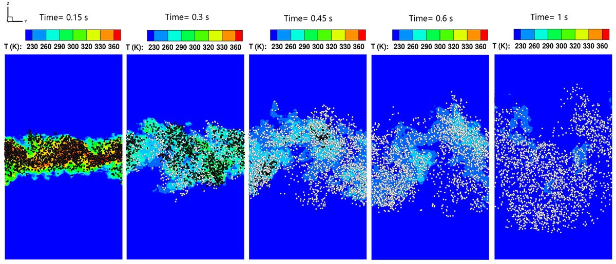 Visualization of temperature distribution over time, illustrating dynamic changes in thermal states across a fluid medium.