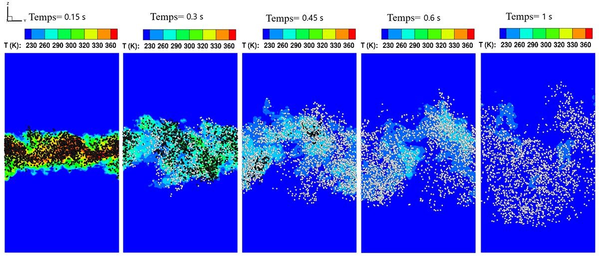 Visualisation dynamique des variations thermiques dans un système à différents intervalles de temps, illustrant des gradients de température.
