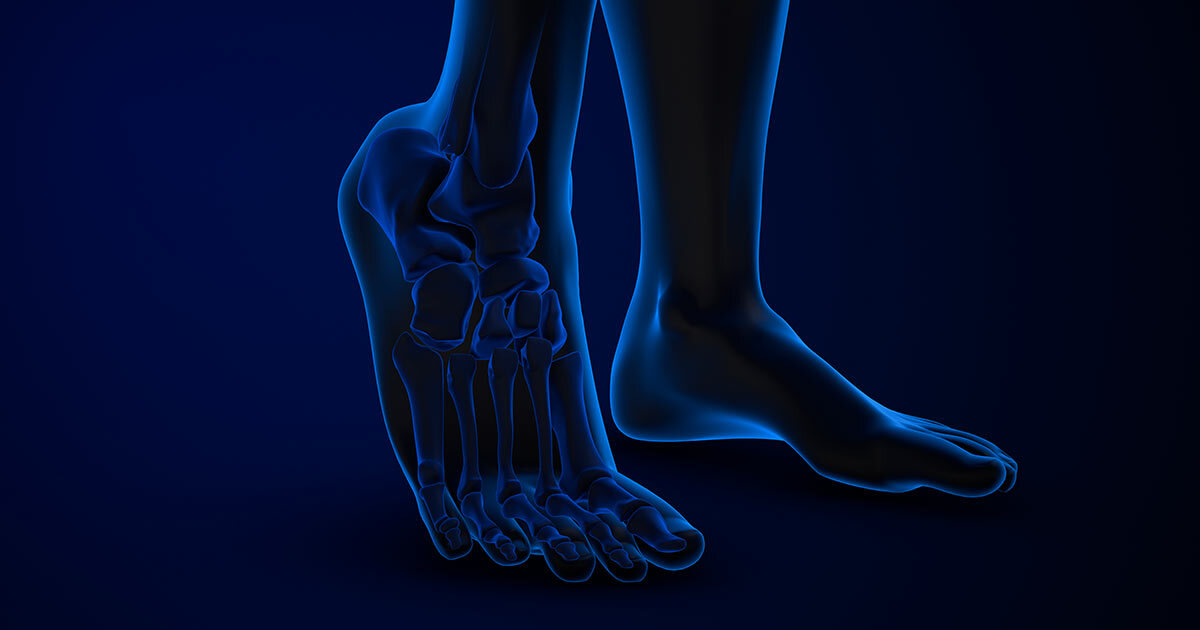 Étude anatomique du pied humain, mettant en avant les structures osseuses et articulaires en détail.