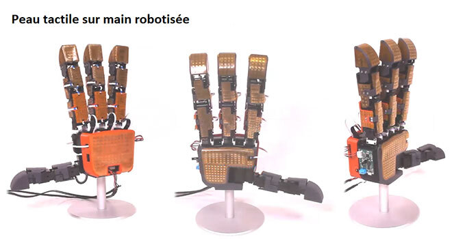 Main robotique avancée avec peau tactile pour la perception sensorielle.