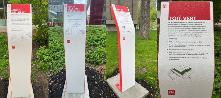 Panneaux éducatifs sur jardin mellifère, espèces végétales indigènes et toit vert à l'ÉTS.