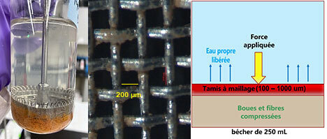 Illustration des processus de filtration montrant l'eau propre libérée, l'échelle de mesure et le fonctionnement d'un tamis à maillage.